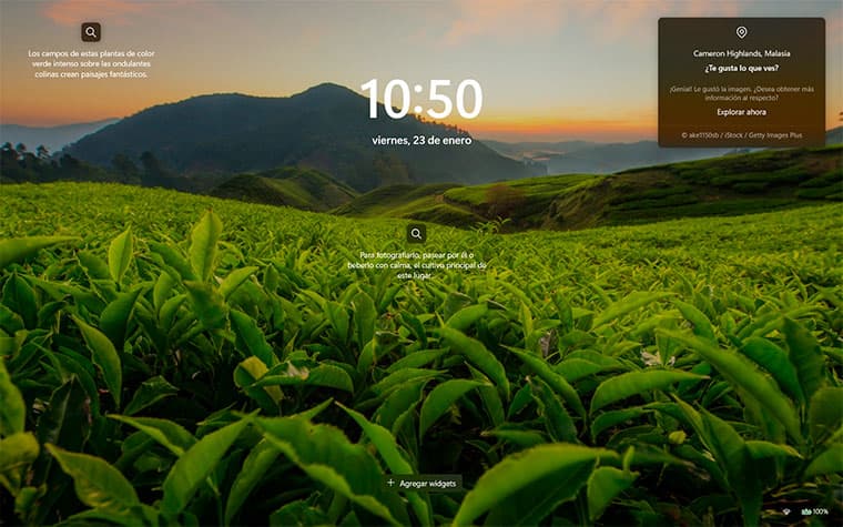 Cameron Highlands, Malasia