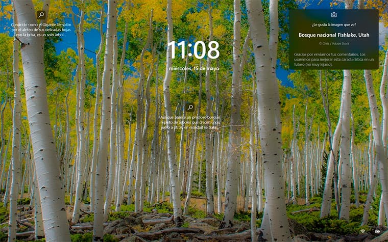 Bosque Nacional Fishlake, Utah